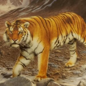 Siberian tiger collectors plate